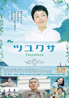 露草海报