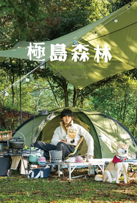 极岛森林海报