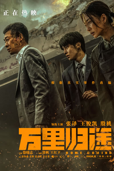 万里归途海报